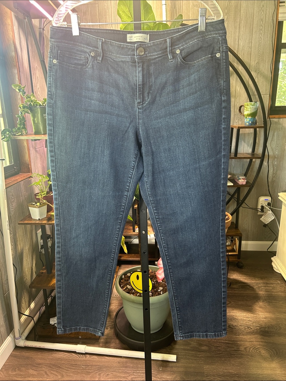 EUC J.Jill Jeans